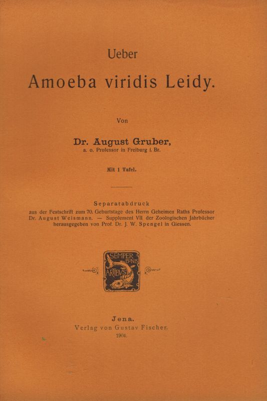 Gruber,August  Über Amoeba viridis Leidy 