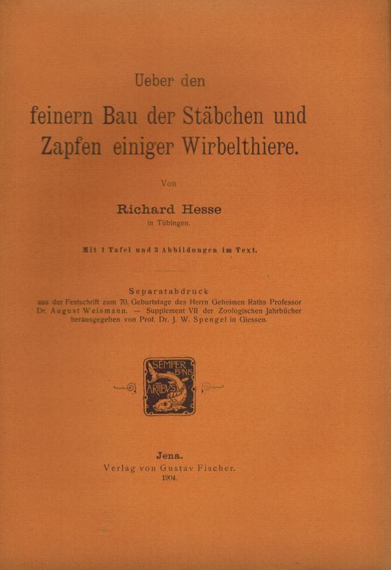 Hesse,Richard  Über den feinern Bau der Stäbchen und Zapfen einiger Wirbeltiere 