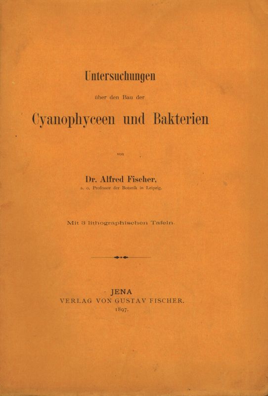 Fischer,Alfred  Untersuchungen über den Bau der Cyanophyceen und Bakterien 