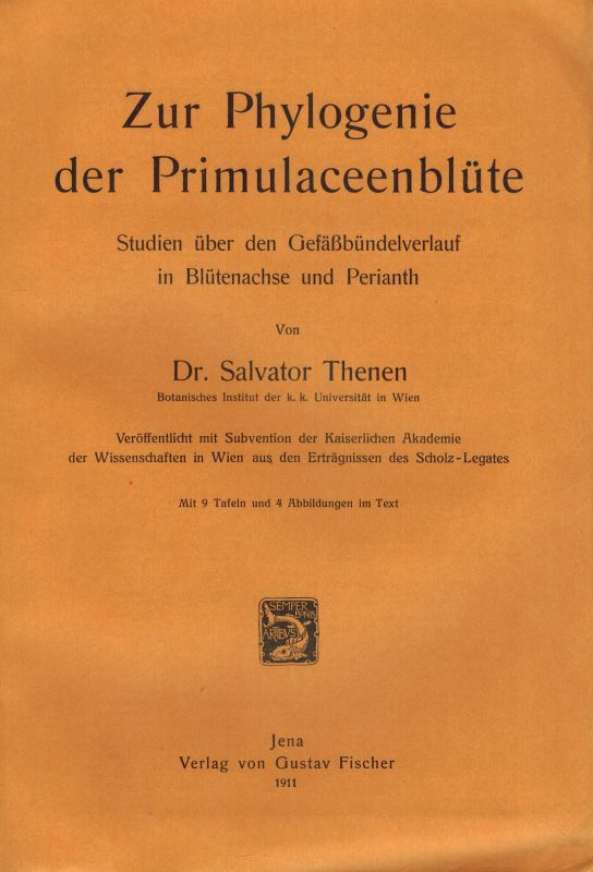 Thenen,Salvator  Zur Phylogenie der Primulaceenblüte 