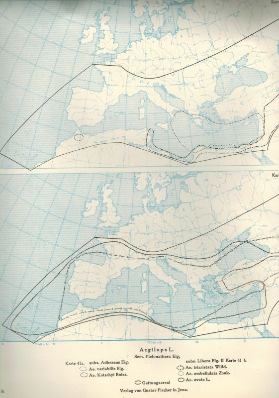 Die Pflanzenareale  Die Pflanzenareale Sammlung kartographischer Darstellungen 