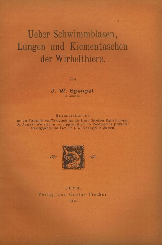 Spengel,J W.  Ueber Schwimmblasen, Lungen- und Kiementaschen der Wirbelthiere 