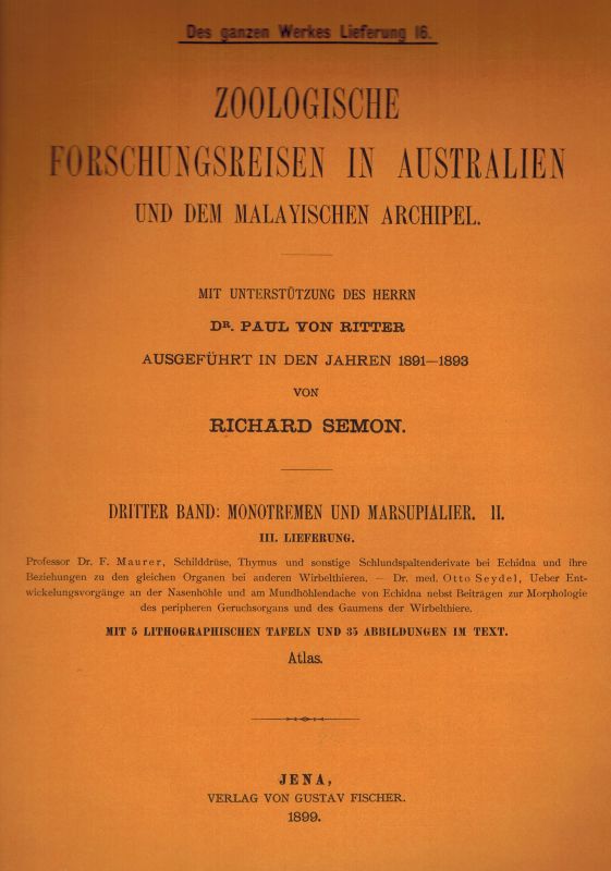 Semon,Richard  Zoologische Forschungsreisen in Australien und dem Malayischen 