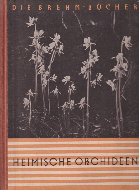 Litzelmann,E.  Heimische Orchideen 