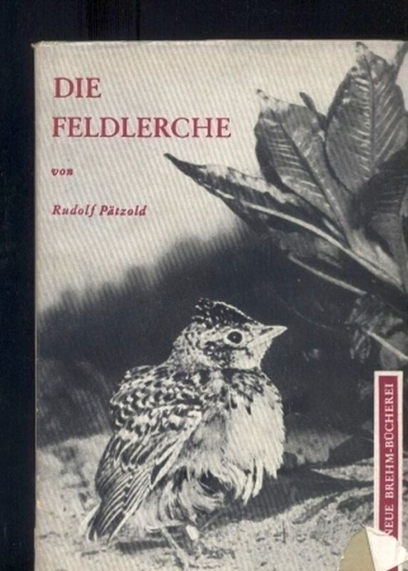 Pätzold,Rudolf  Die Feldlerche (Alauda arvensis L.) 