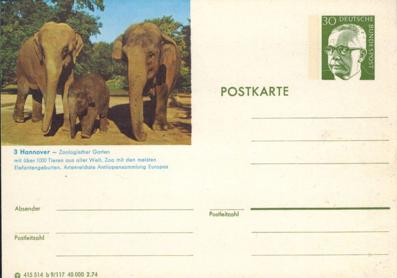 Hannover-Zooologischer Garten  Elefantengruppe (Indische Elefanten) 