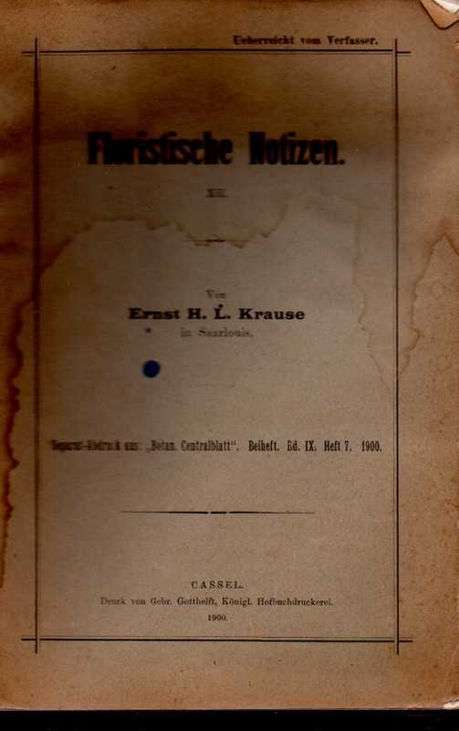 Krause,Ernst H.L.  Floristische Notizen XII.Tubiflorae,SA.aus Botan.Centralbl.Beiheft Bd. 