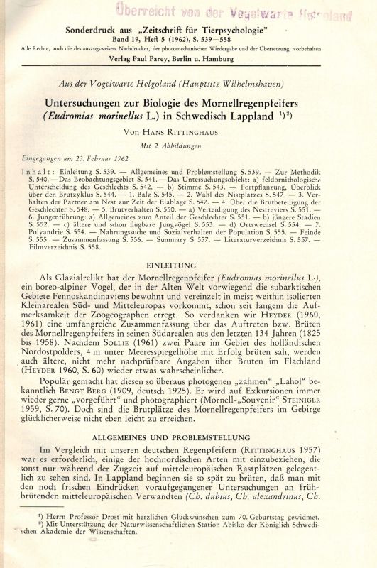 Rittinghaus,Hans  Untersuchungen zur Biologie des Mornellregenpfeifers (Eudromias 