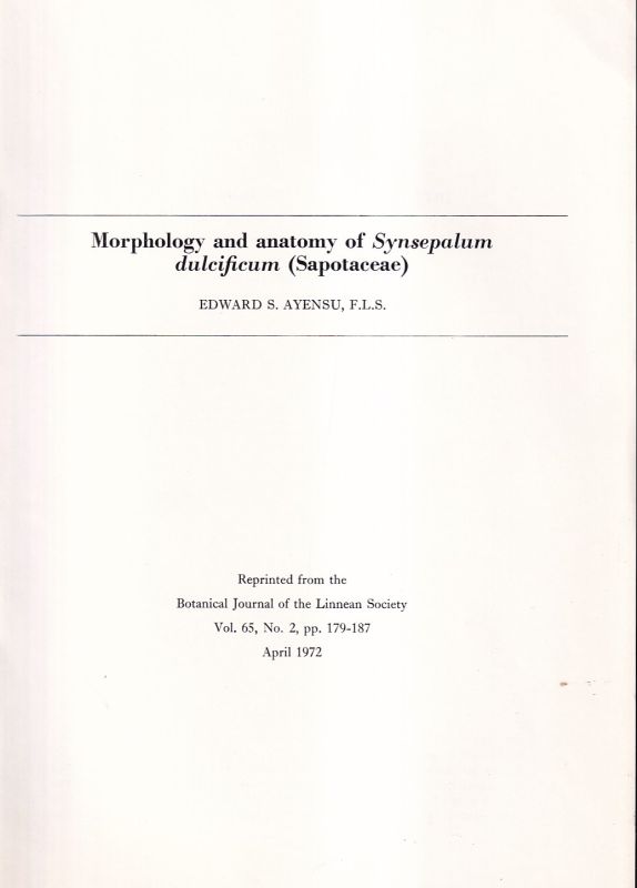 Ayensu,Edward S.  Morphology and anatomy of Synsepalum dulcificum (Sapotaceae) 