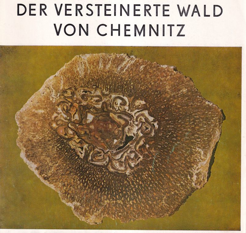 Museum für Naturkunde Chemnitz  Der versteinerte Wald von Chemnitz 