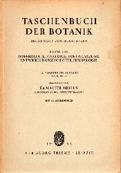 Miehe,Hugo  Taschenbuch der Botanik 