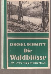 Schmitt,Cornel  Die Waldblsse als Lebensgemeinschaft 