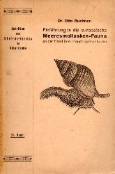 Buchner,Otto  Einfhrung in die europische Meeresmollusken-Fauna 