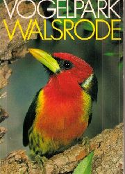 Walsrode-Vogelpark  Vogelpark Walsrode (Titelbild Rotkopfbartvogel) 