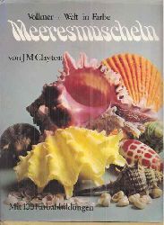 Clayton,J.M.  Meeresmuscheln 