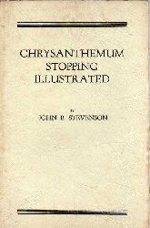 Stevenson,John B.  Chrysanthemum stopping illustrated 