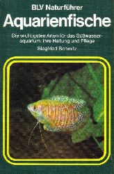 Schmitz,Siegfried  Aquarienfische 