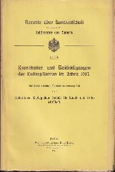 Reichsamte des Innern (Hsg.)  Krankheiten und Beschdigungen der Kulturpflanzen im Jahre 1905 