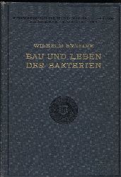Benecke,Wilhelm  Bau und Leben der Bakterien 