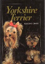 Grassi, Rodolfo  Yorkshire Terrier 