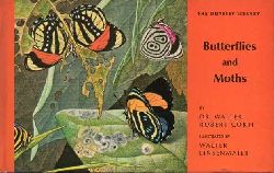 Cortri,Walter Robert  Butterflies und moths 