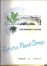 Riviera Plant Company R.P.C.  3 Kataloge der Firma Riviera Plant Company R.P.C. 