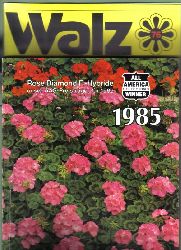 Walz Samen GmbH  Hauptkatalog 1985 und 3 Kataloge ber Sommerblumen und Viola 