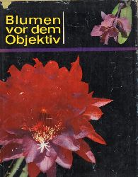 Jankowska,Anna und Tadeusz Jankowski  Blumen vor dem Objektiv 