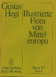 Hegi,Gustav  Illustrierte Flora von Mitteleuropa Band VI. Spermatophyta 