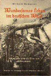 Hochgreve,Wilhelm  Wundersames Leben im Deutschen Wald.Streifzge durch die Tier-und 