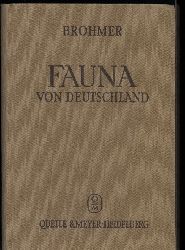 Brohmer,Paul  Fauna von Deutschland.Ein Bestimmungsbuch unserer einheimischen 