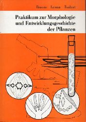 Braune,Wolfram und Alfred Leman und Hans Taubert  Praktikum zur Morphologie und Entwicklungsgeschichte der Pflanzen 