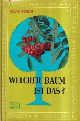 Kosch,Alois  Welcher Baum ist das ? 