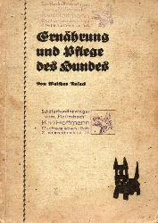 Busack,Walther  Ernhrung und Pflege des Hundes 