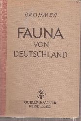 Brohmer,Paul  Fauna von Deutschland 