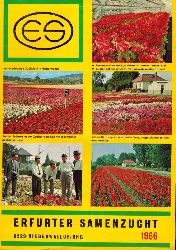 Erfurter Samenzucht Weigelt und Co.  Erfurter Samenzucht Hauptkatalog 1966 