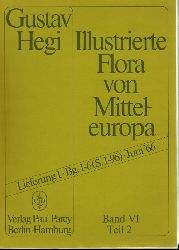 Hegi,Gustav  Illustrierte Flora von Mitteleuropa Band VI. Teil 2 Lieferung 1 