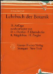 Strasburger,E.  Lehrbuch der Botanik fr Hochschulen 