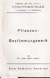 Kiffmann,Rudolf  Alpenpflanzenflora Teil A Echte Grser (Gramineae) 