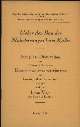 Vogt,Linius  Ueber den Bau des Nabelstranges beim Kalbe.Inaugural-Diisertation zur  