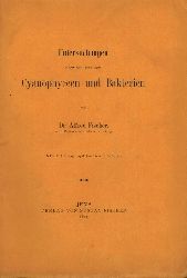 Fischer,Alfred  Untersuchungen ber den Bau der Cyanophyceen und Bakterien 