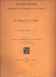 Ziegler,Heinrich Ernst  Die ersten Entwicklungsvorgnge des Echinodermeneies (Seeigel) 