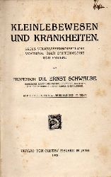 Schwalbe,Ernst  Kleinlebewesen und Krankheiten 