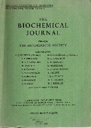 Solomon,J.B.: Lactic and malic  dahydrogenases in the developing chick embryo,Cohen,S.+A.H.Gordon: 