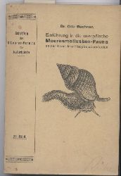 Buchner,Otto  Einfhrung in die europische Meeresmollusken-Fauna an der Hand ihrer  