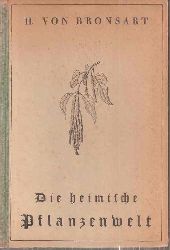 Bronsart,H.von  Die heimische Pflanzenwelt 