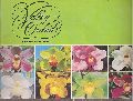 Valley Orchisd Pty.Ltd.  Valley Orchids Catalogue 1979 