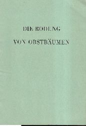 Braunger,Josef  Die Rodung von Obstbumen 