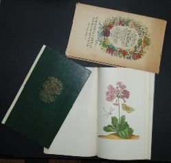 Deckert, H.   Maria Sibylla Merians neues Blumenbuch  