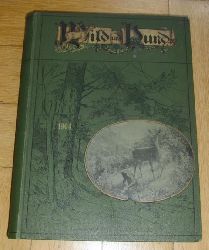 Hrsg. Paul Parey Berlin    Wild und Hund -  Jahrgang 1904  - kein Reprint!  